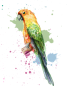 Preview: Bügelbild Papagei gelb-grün